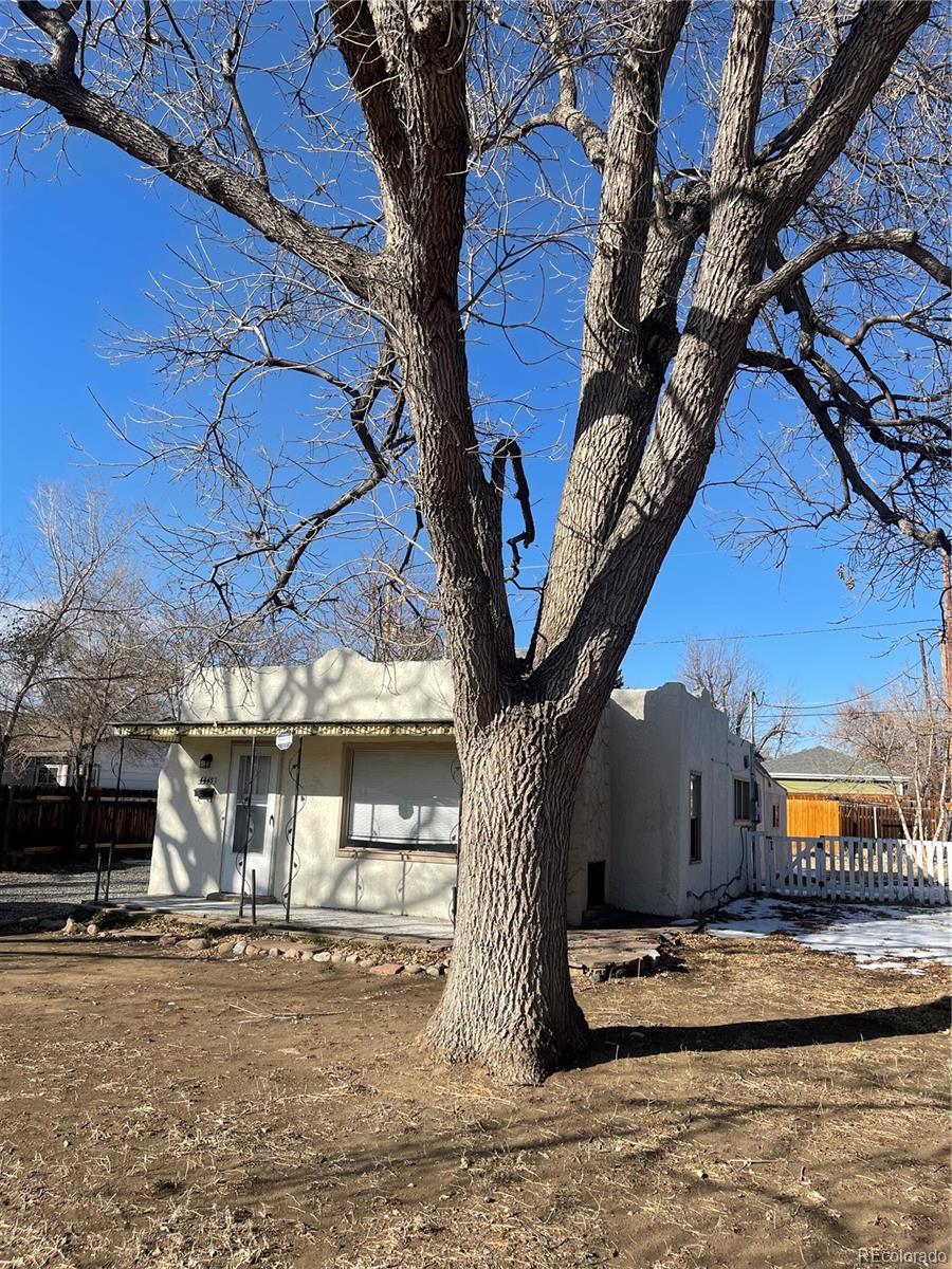 Real Estate Photo
