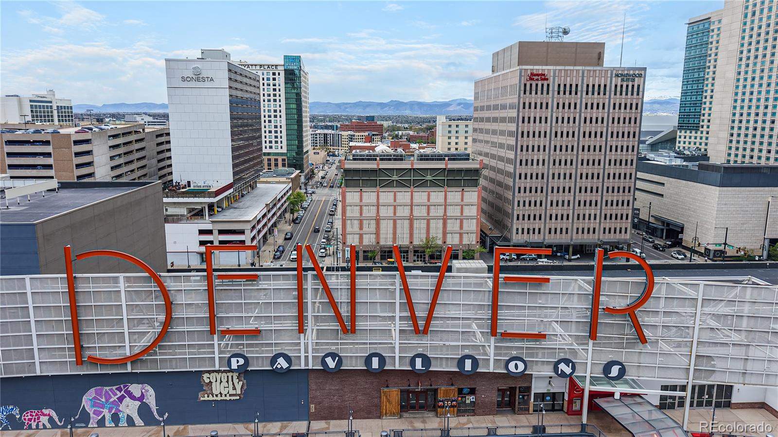 Real Estate Photo