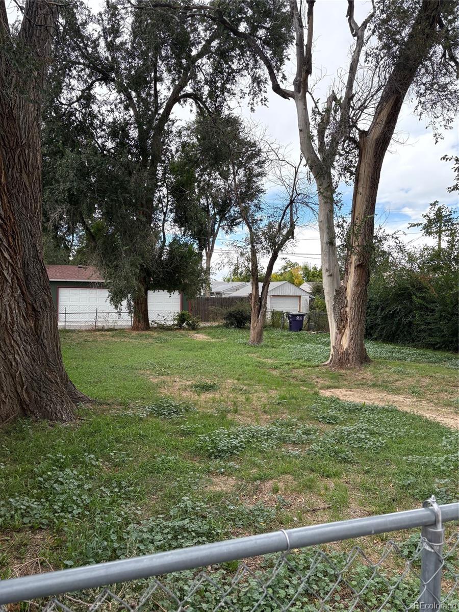 Real Estate Photo