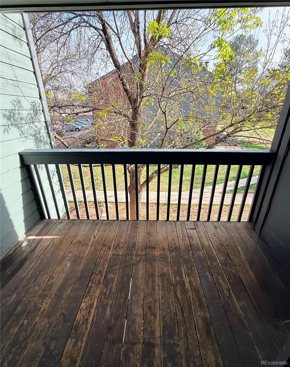Real Estate Photo