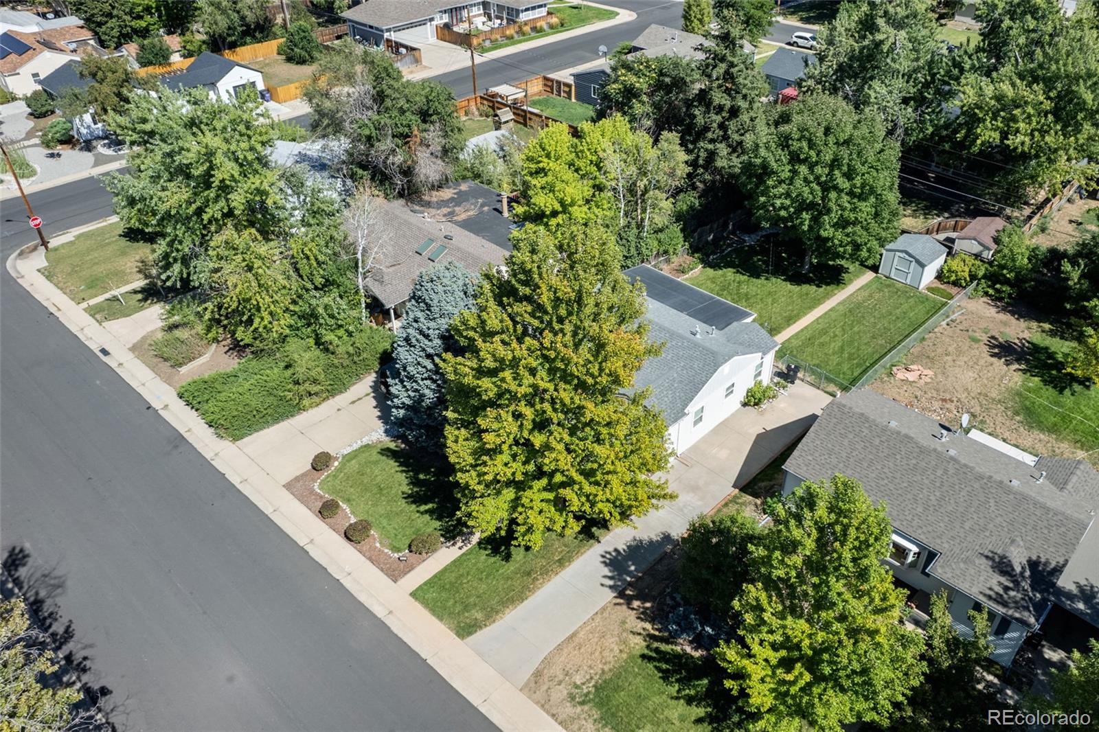 Real Estate Photo