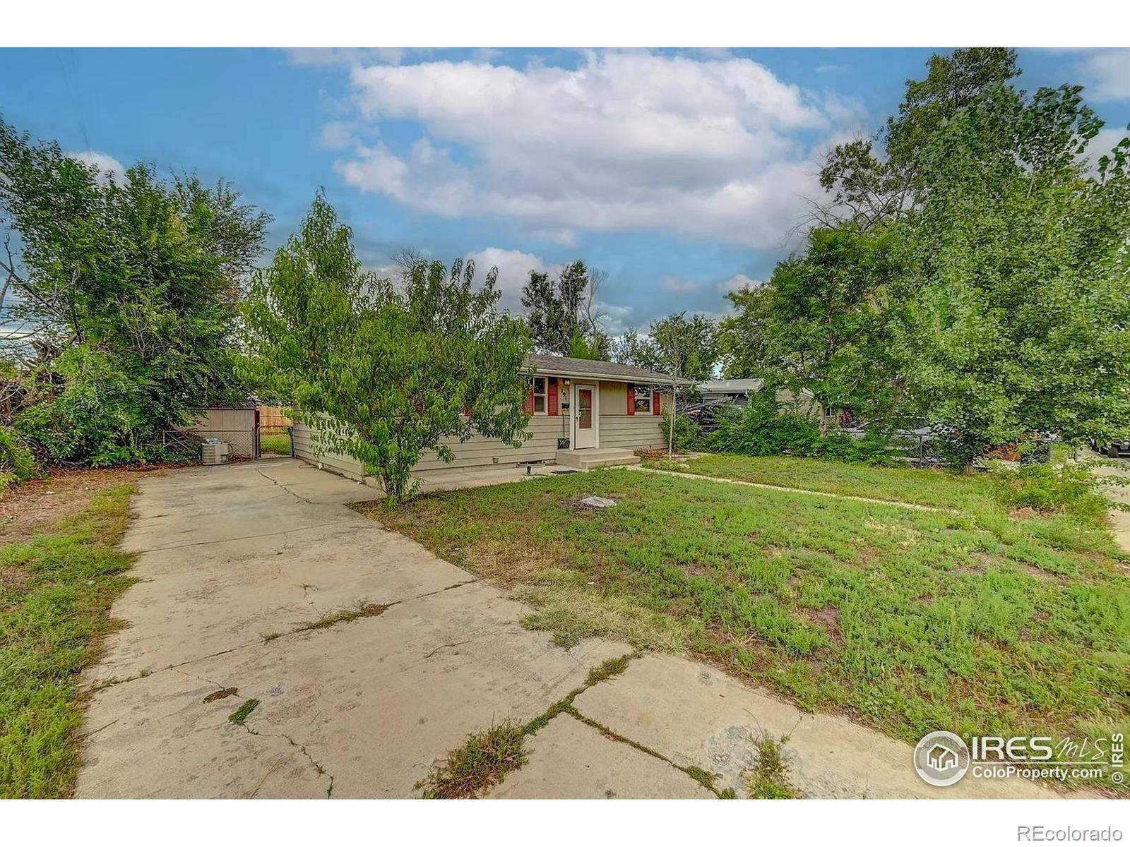 Real Estate Photo