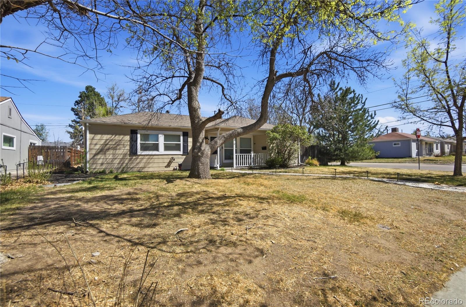 Real Estate Photo