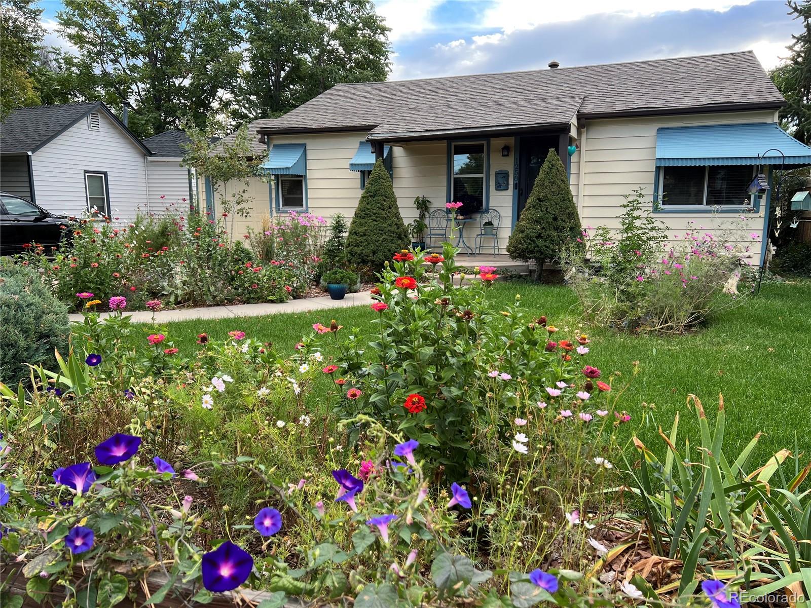 Real Estate Photo