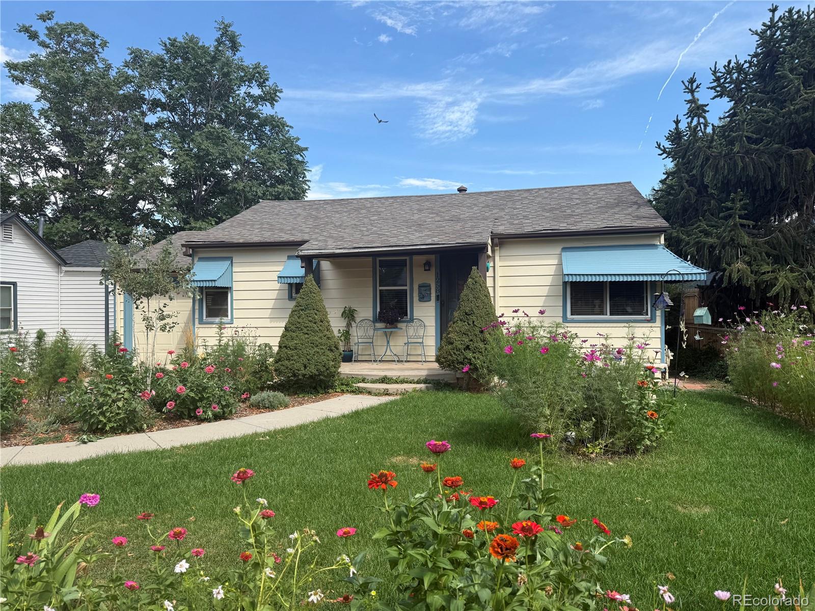 Real Estate Photo