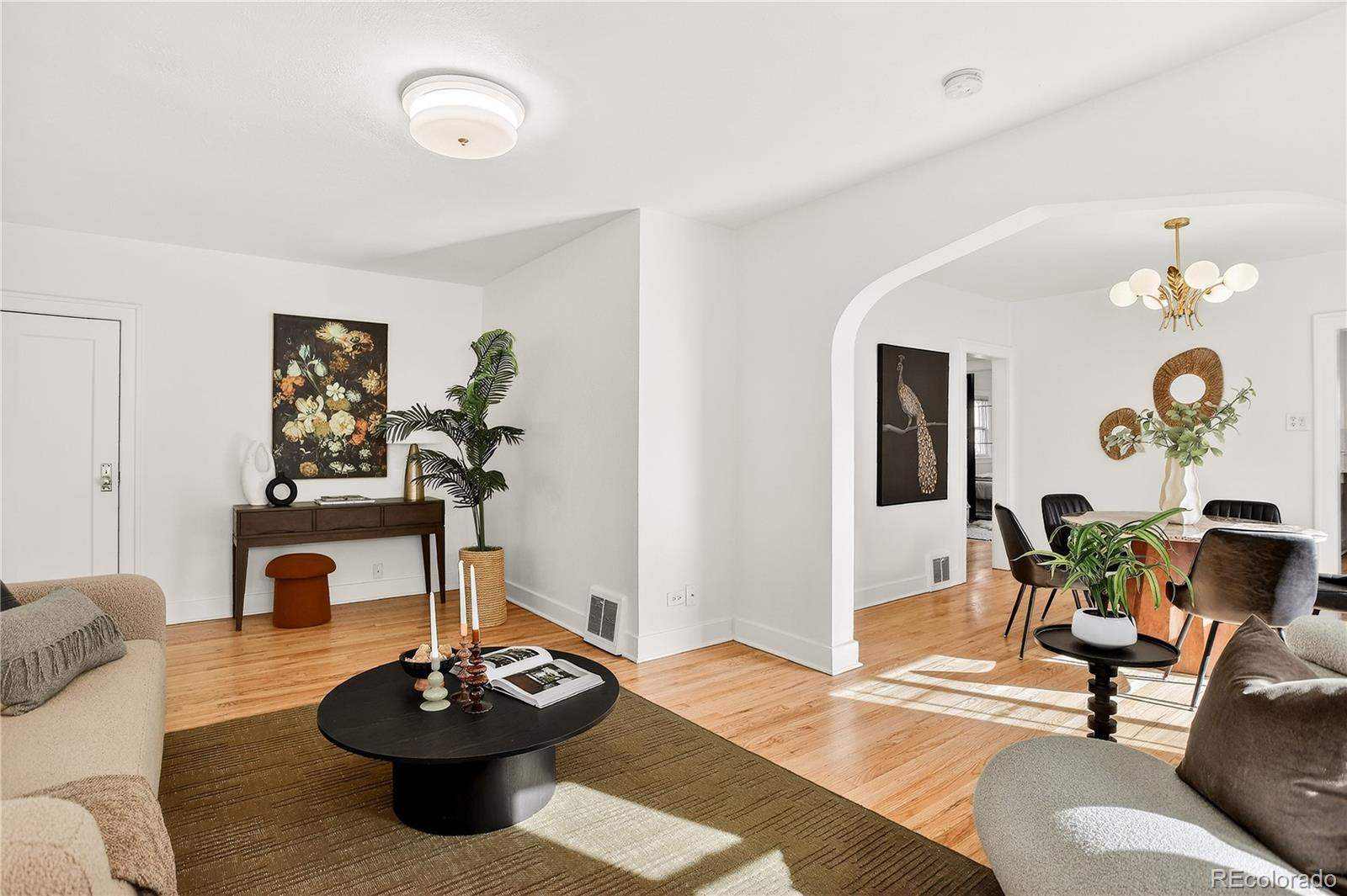 Real Estate Photo