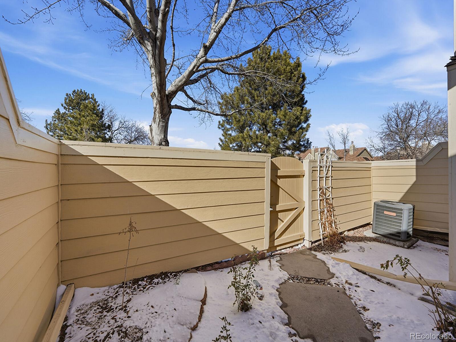 Real Estate Photo