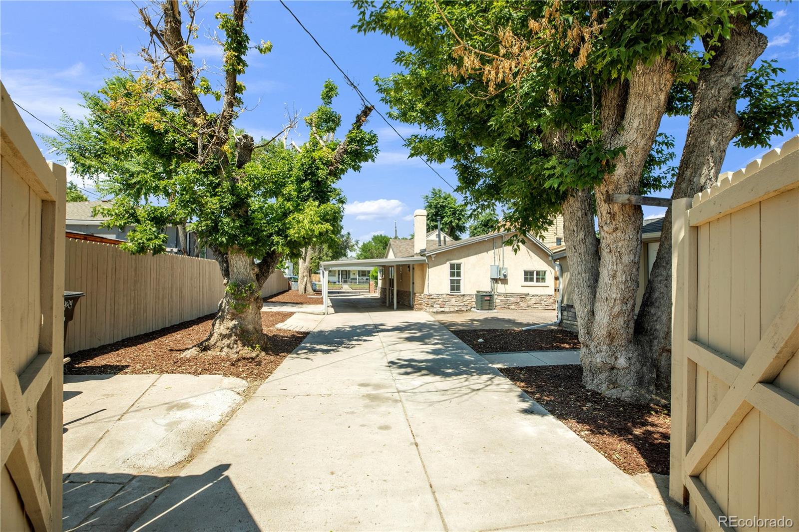 Real Estate Photo