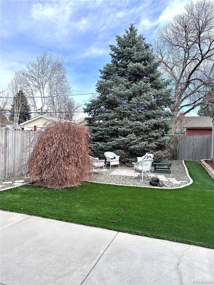 Real Estate Photo
