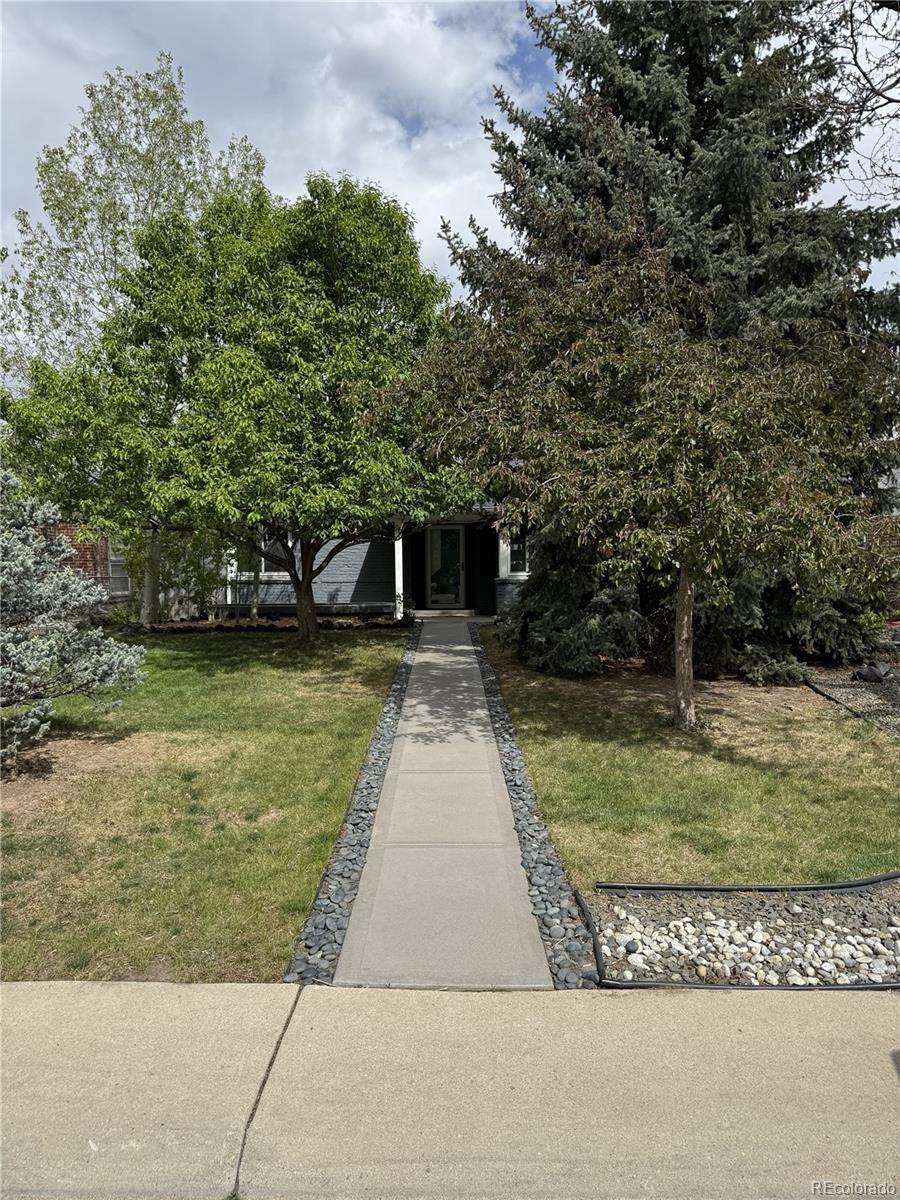 Real Estate Photo