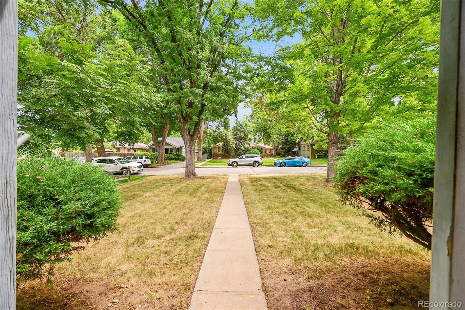 Real Estate Photo