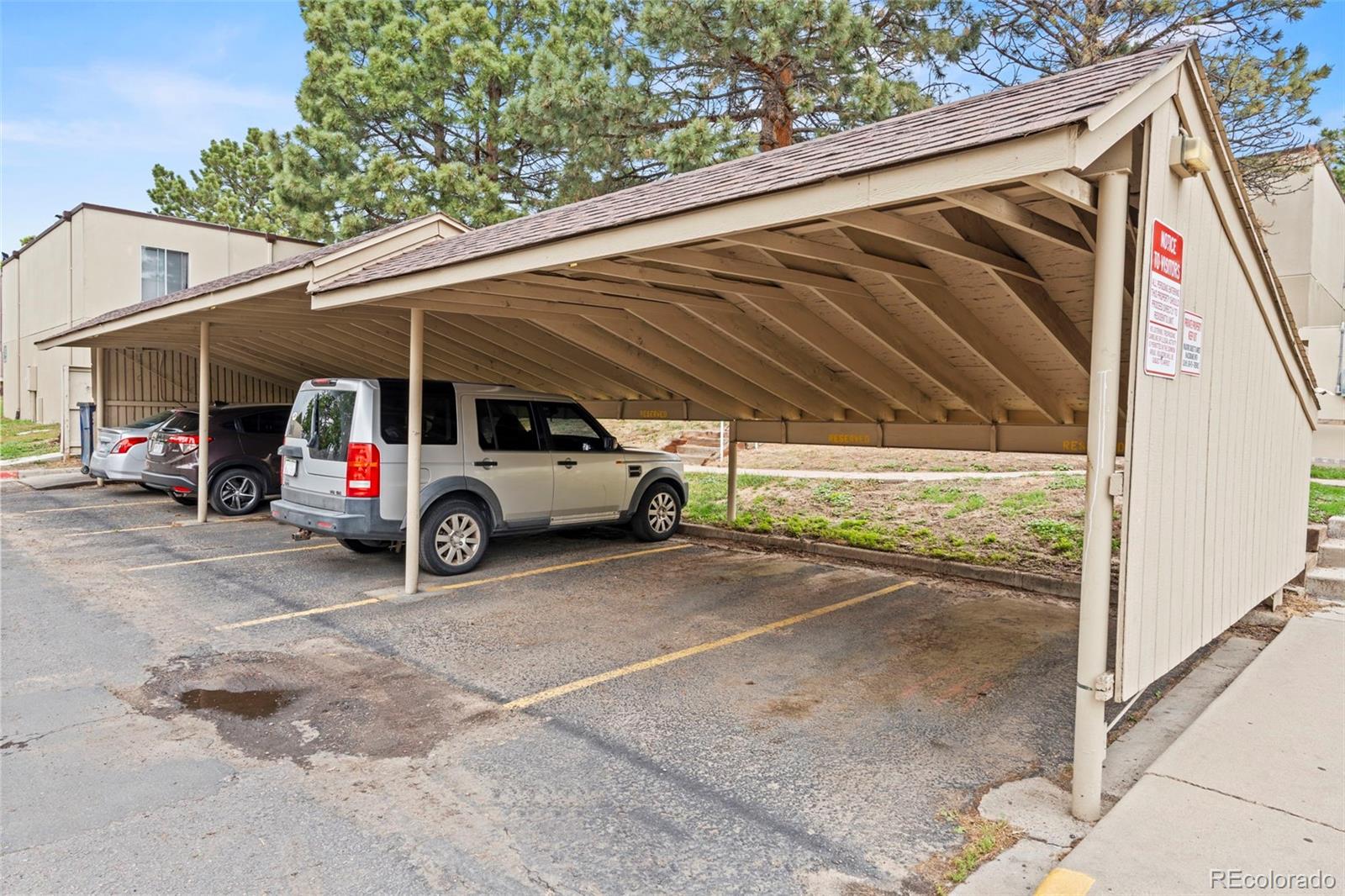 Real Estate Photo