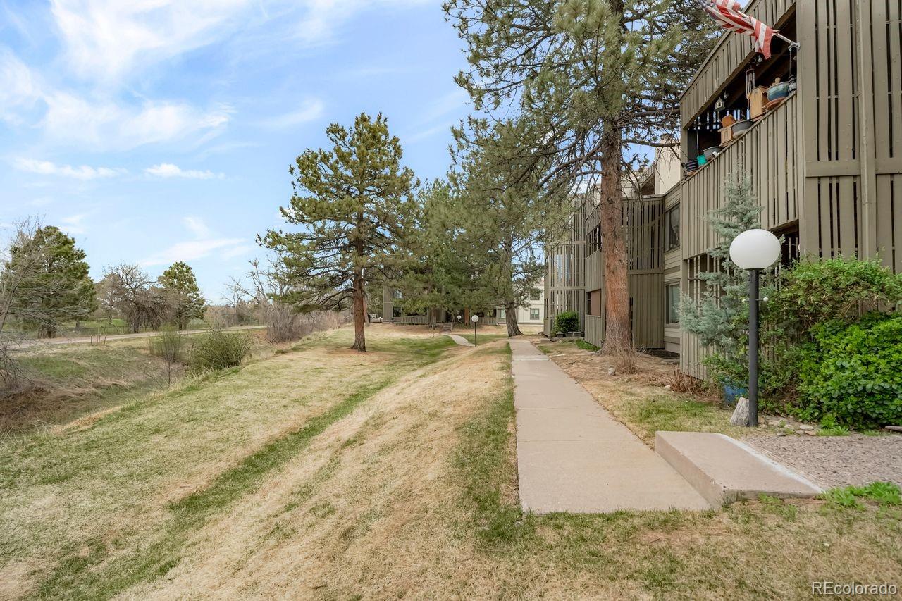 Real Estate Photo