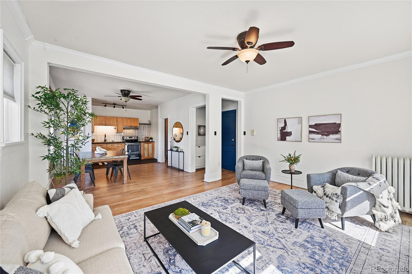 Real Estate Photo
