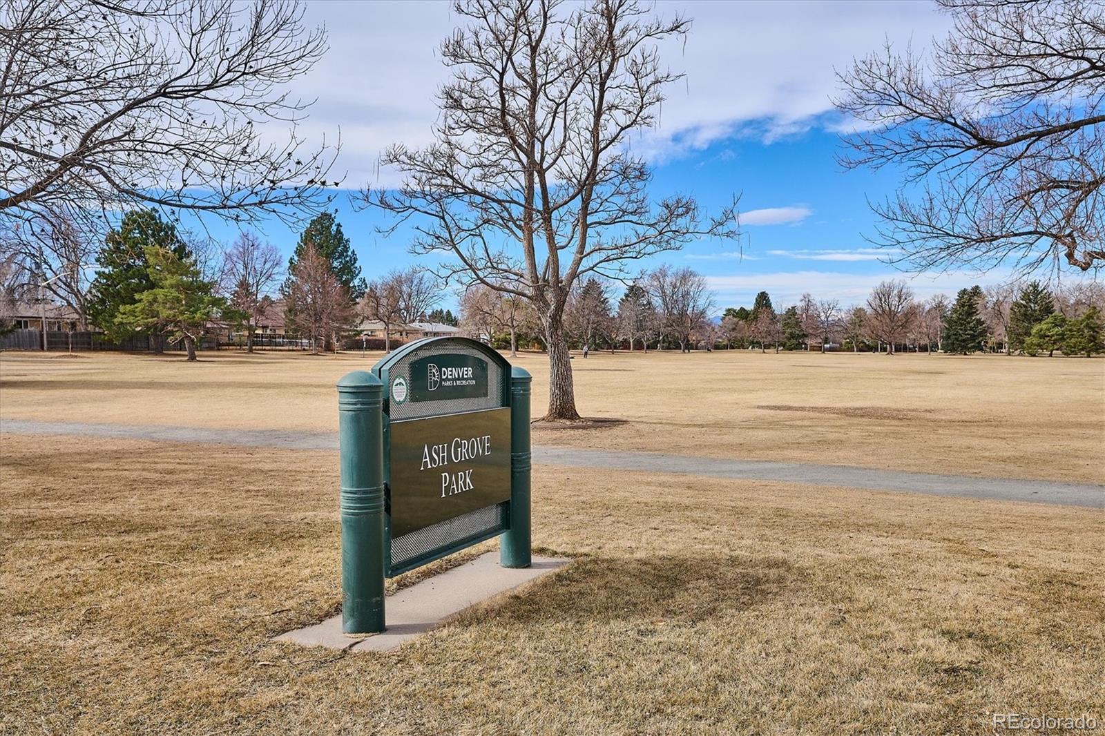 Real Estate Photo