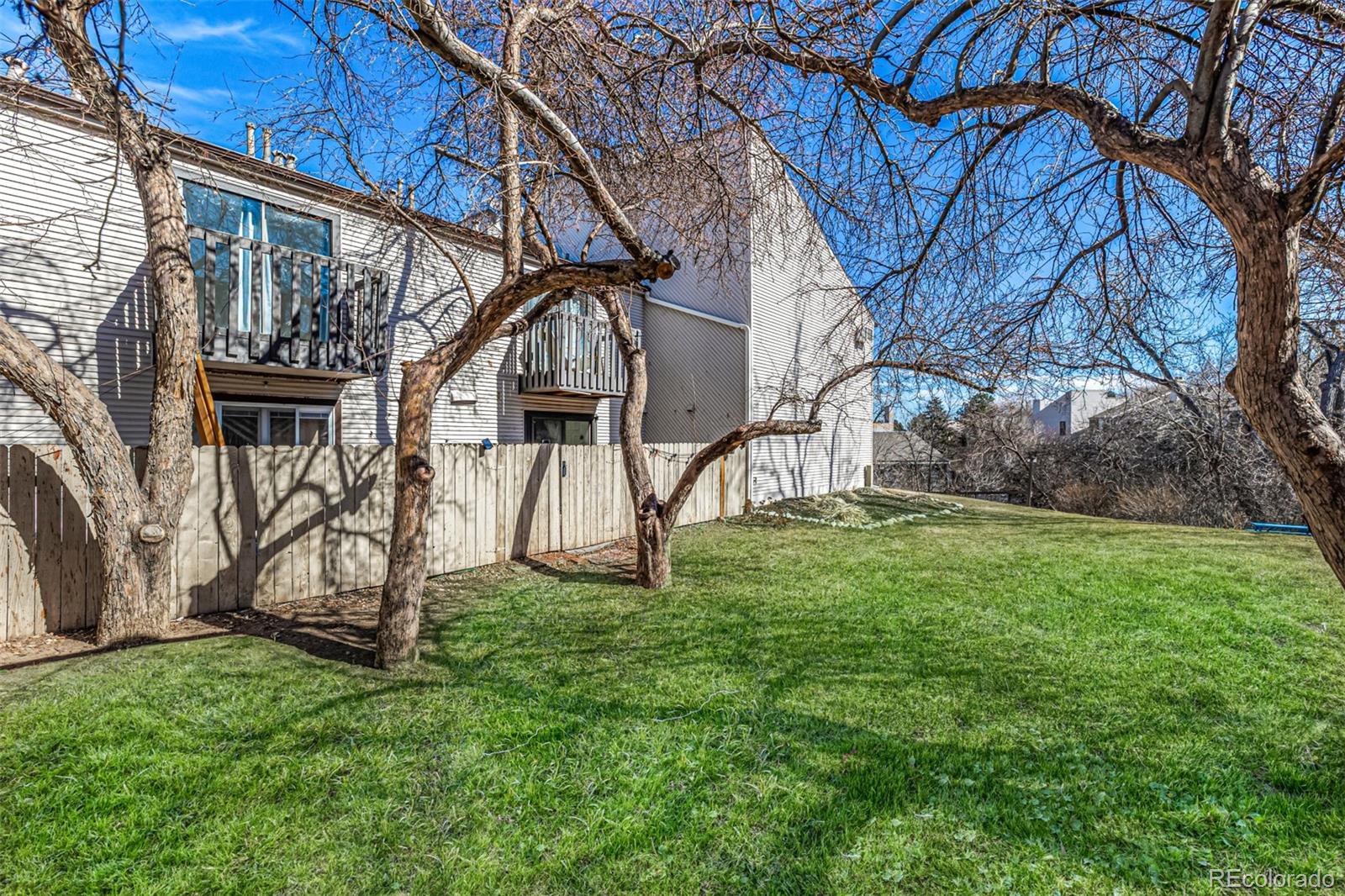 Real Estate Photo