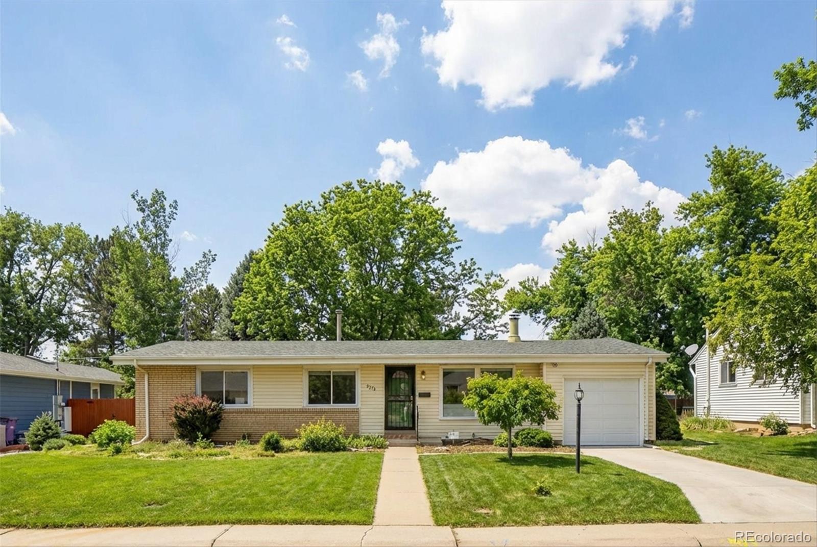 Real Estate Photo