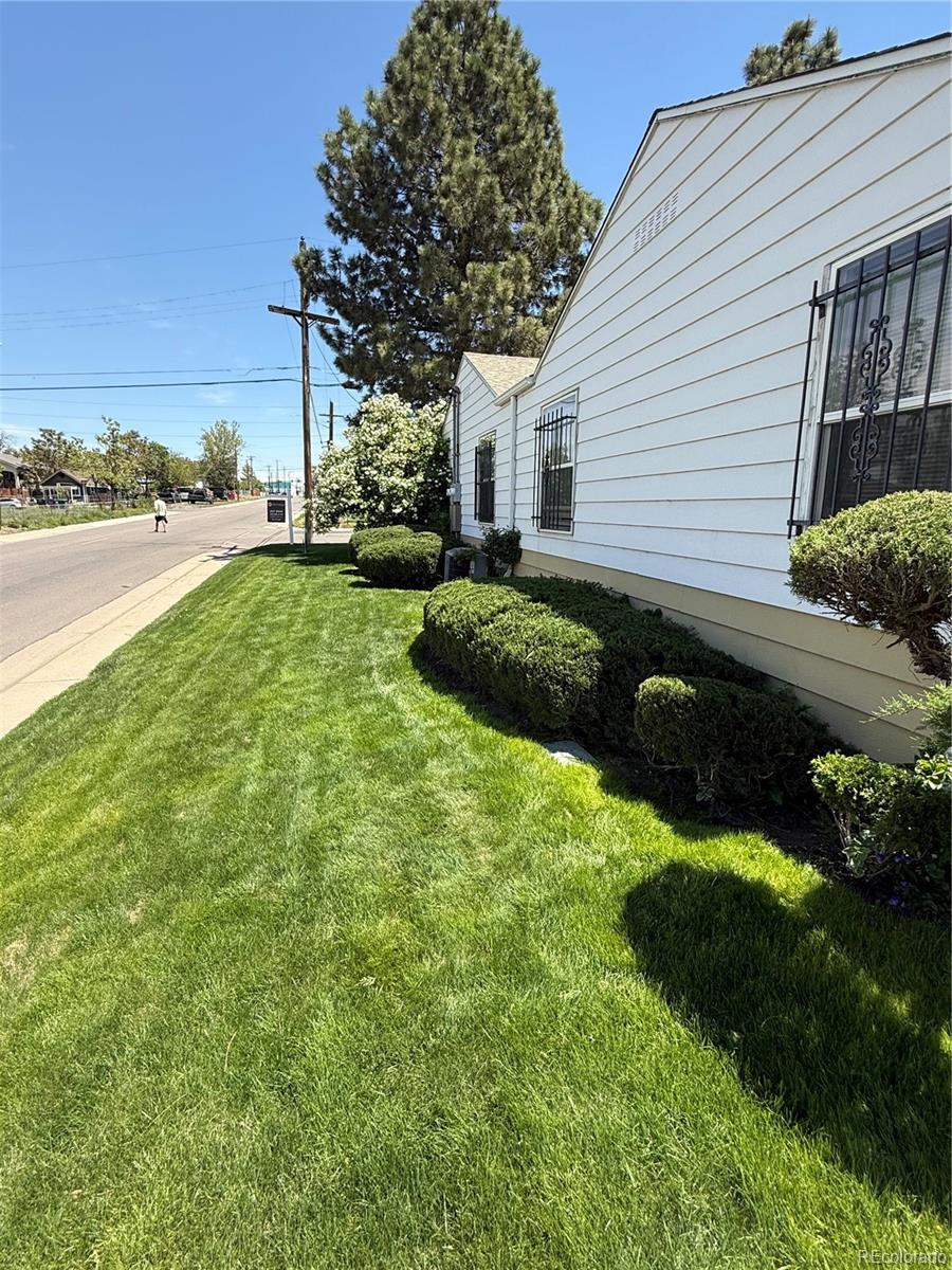 Real Estate Photo