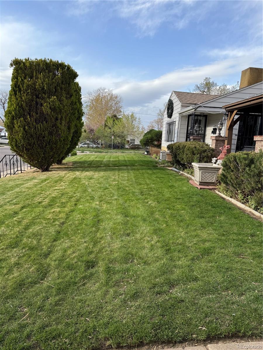 Real Estate Photo