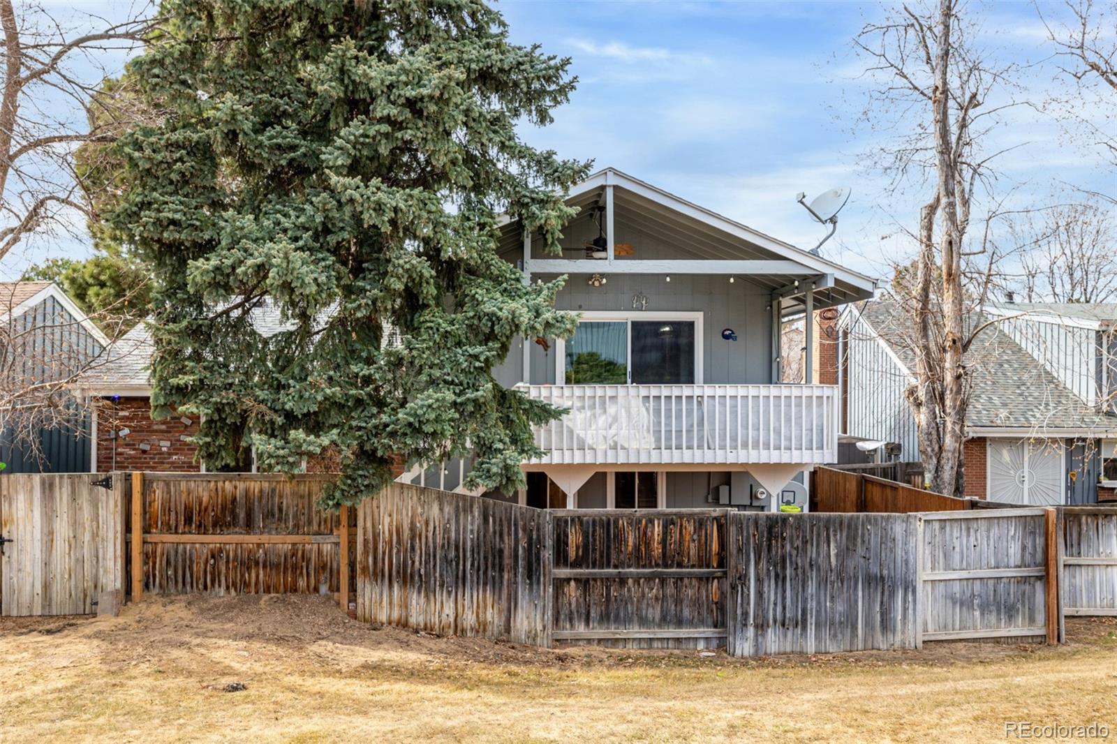 Real Estate Photo