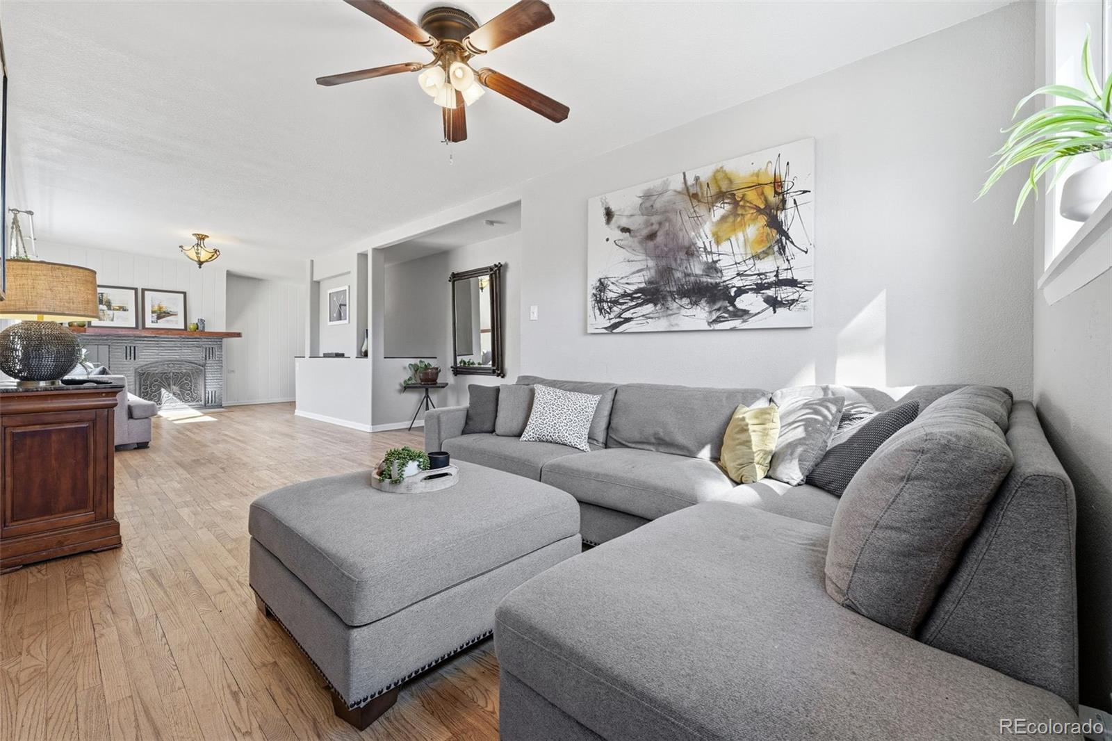 Real Estate Photo