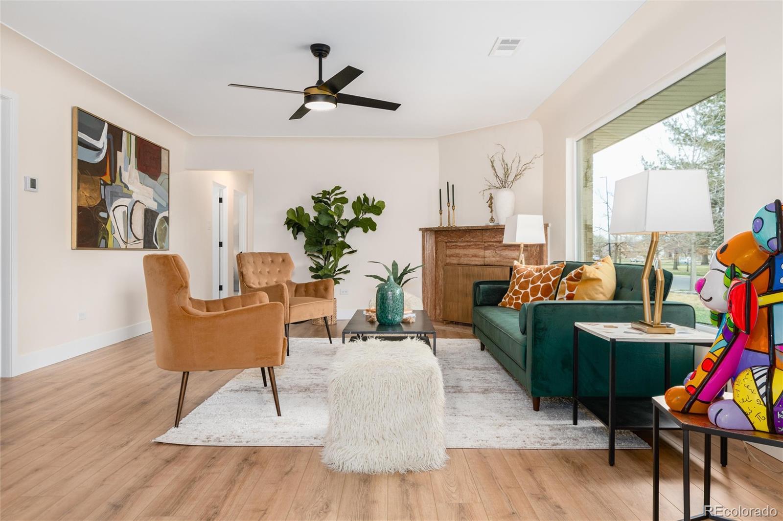 Real Estate Photo