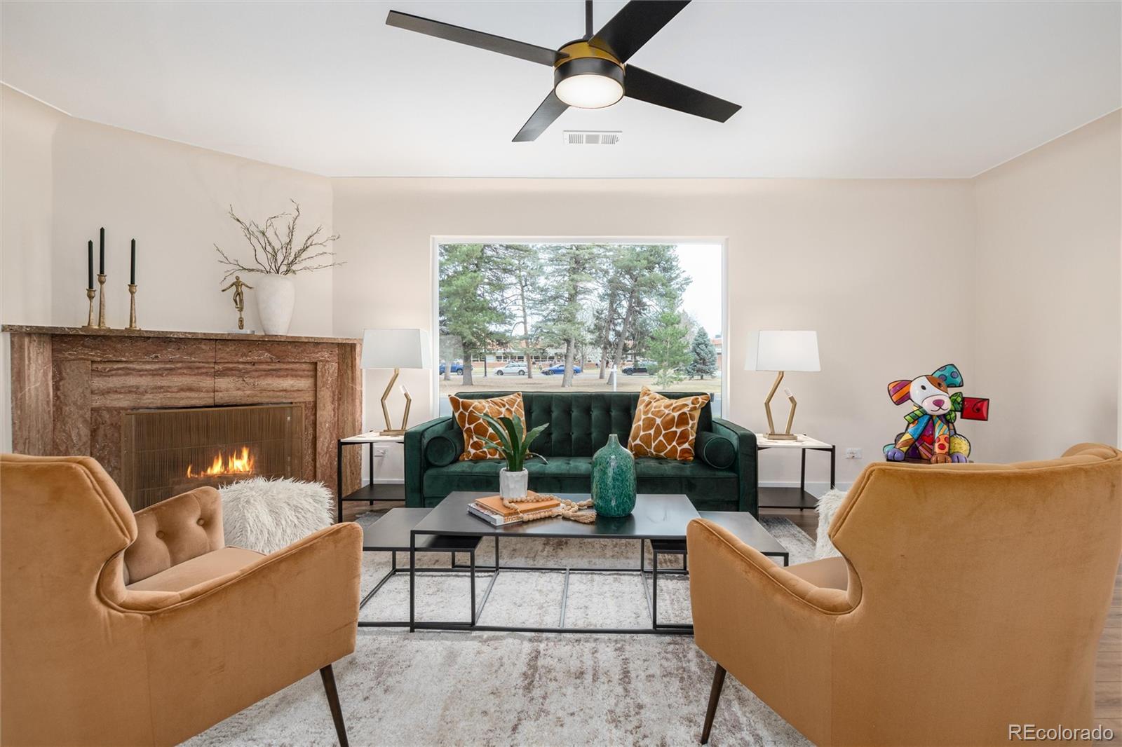 Real Estate Photo