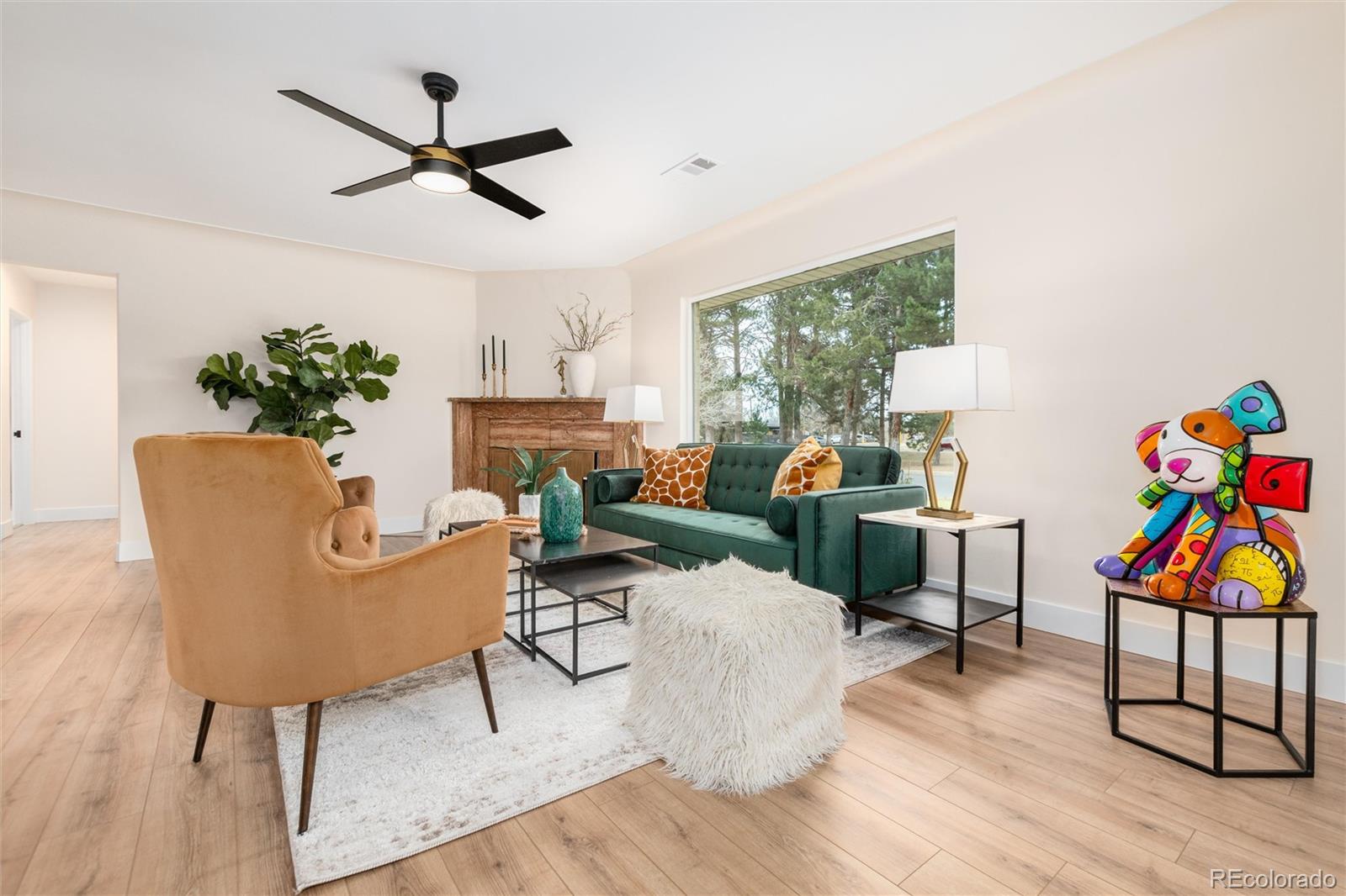 Real Estate Photo