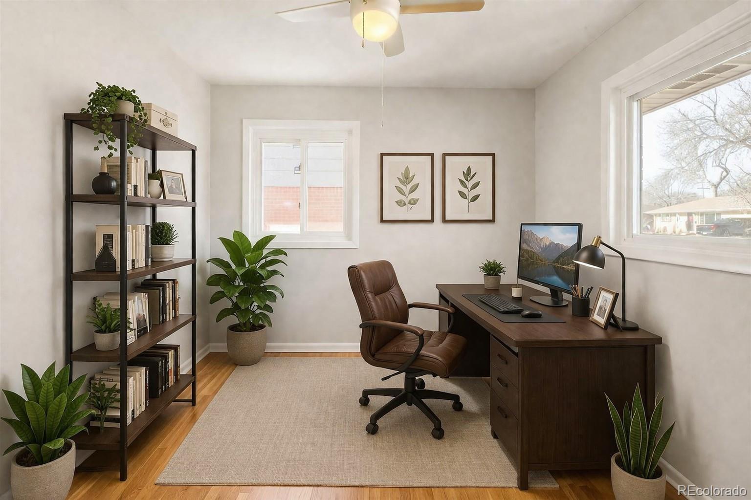 Real Estate Photo