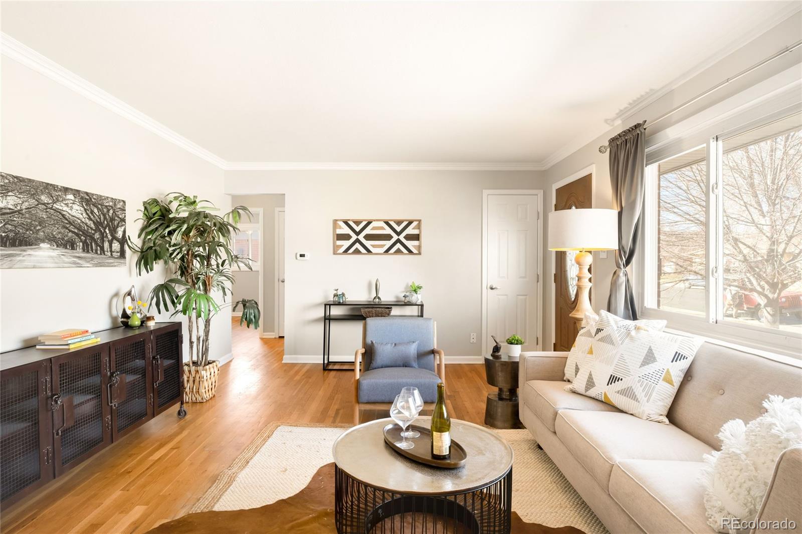 Real Estate Photo
