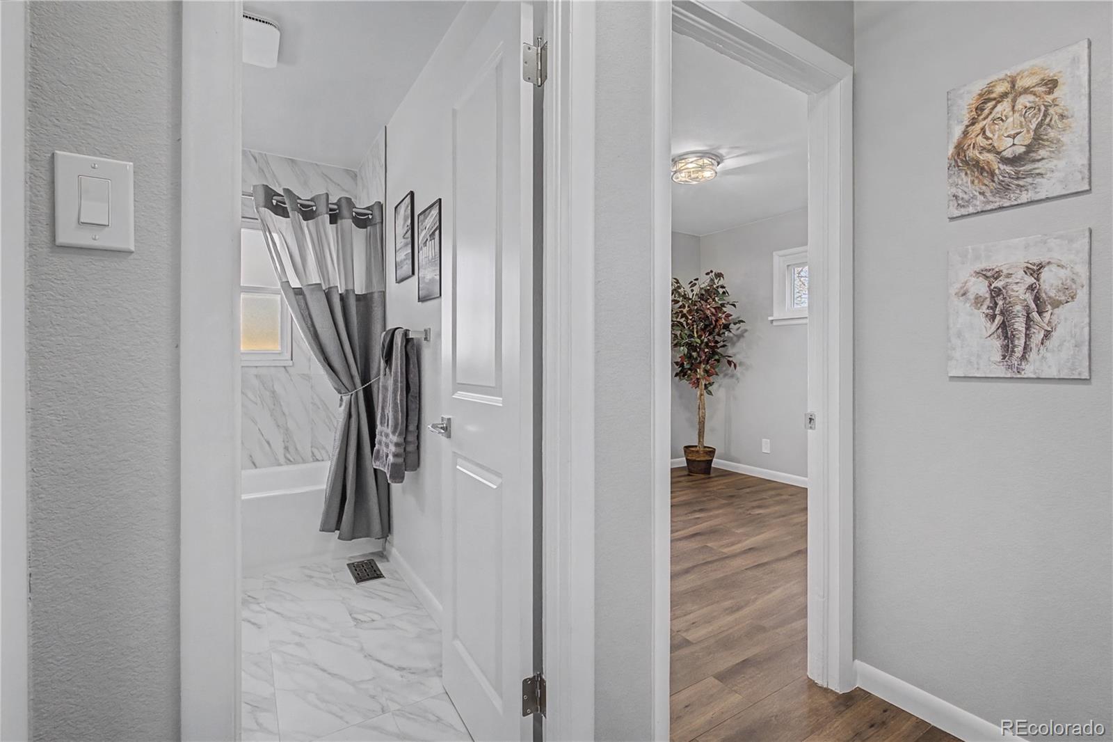 Real Estate Photo