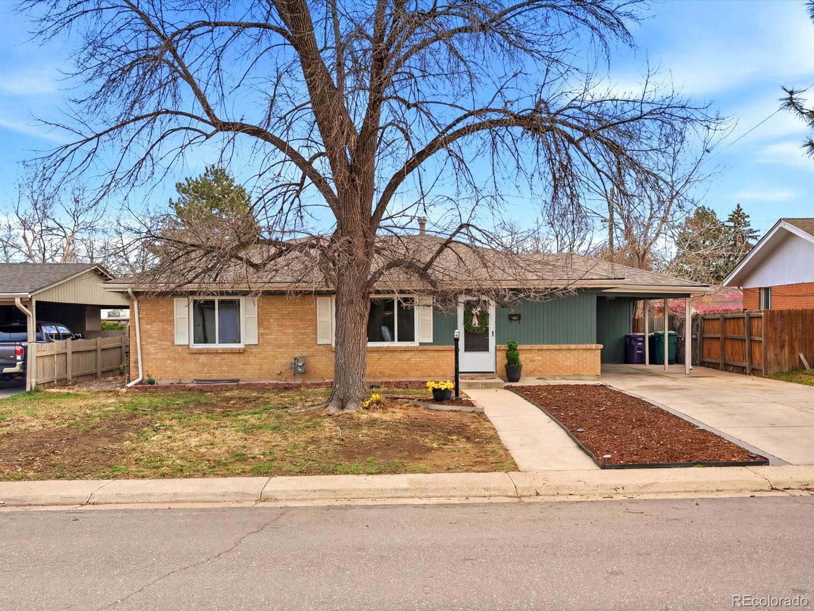 Real Estate Photo