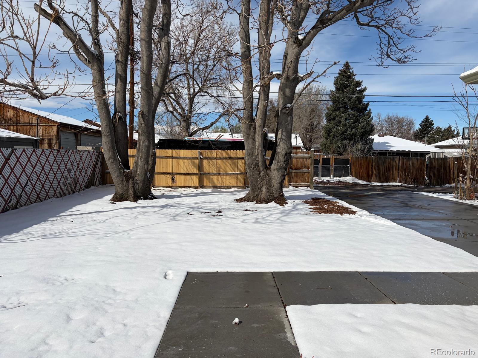 Real Estate Photo
