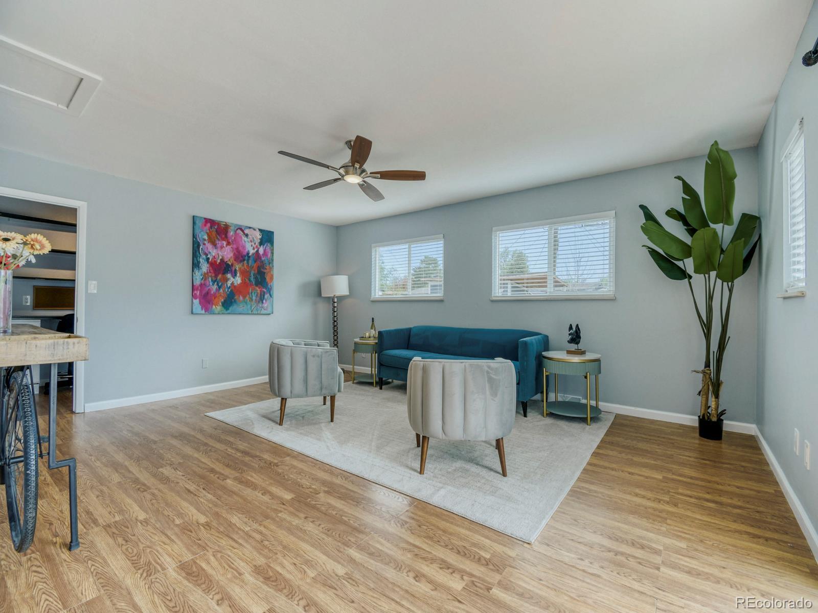 Real Estate Photo