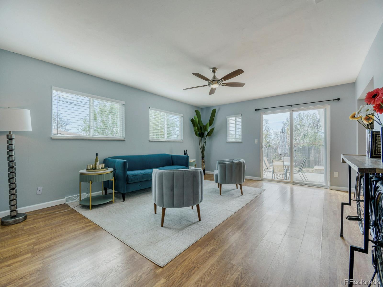 Real Estate Photo