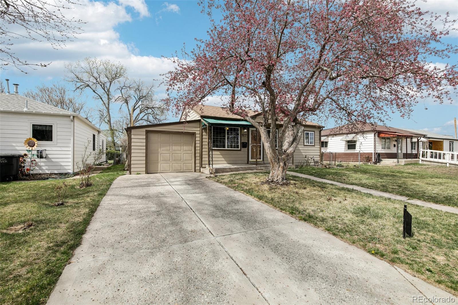 Real Estate Photo