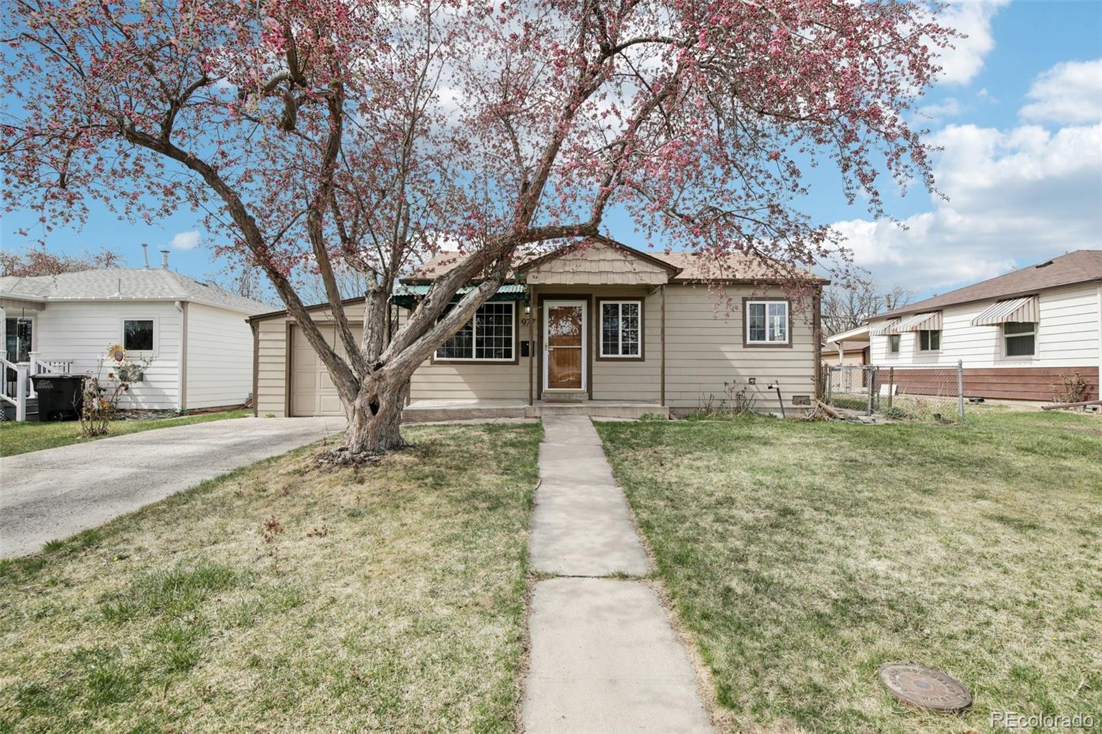 Real Estate Photo