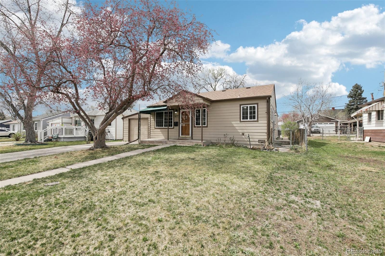 Real Estate Photo