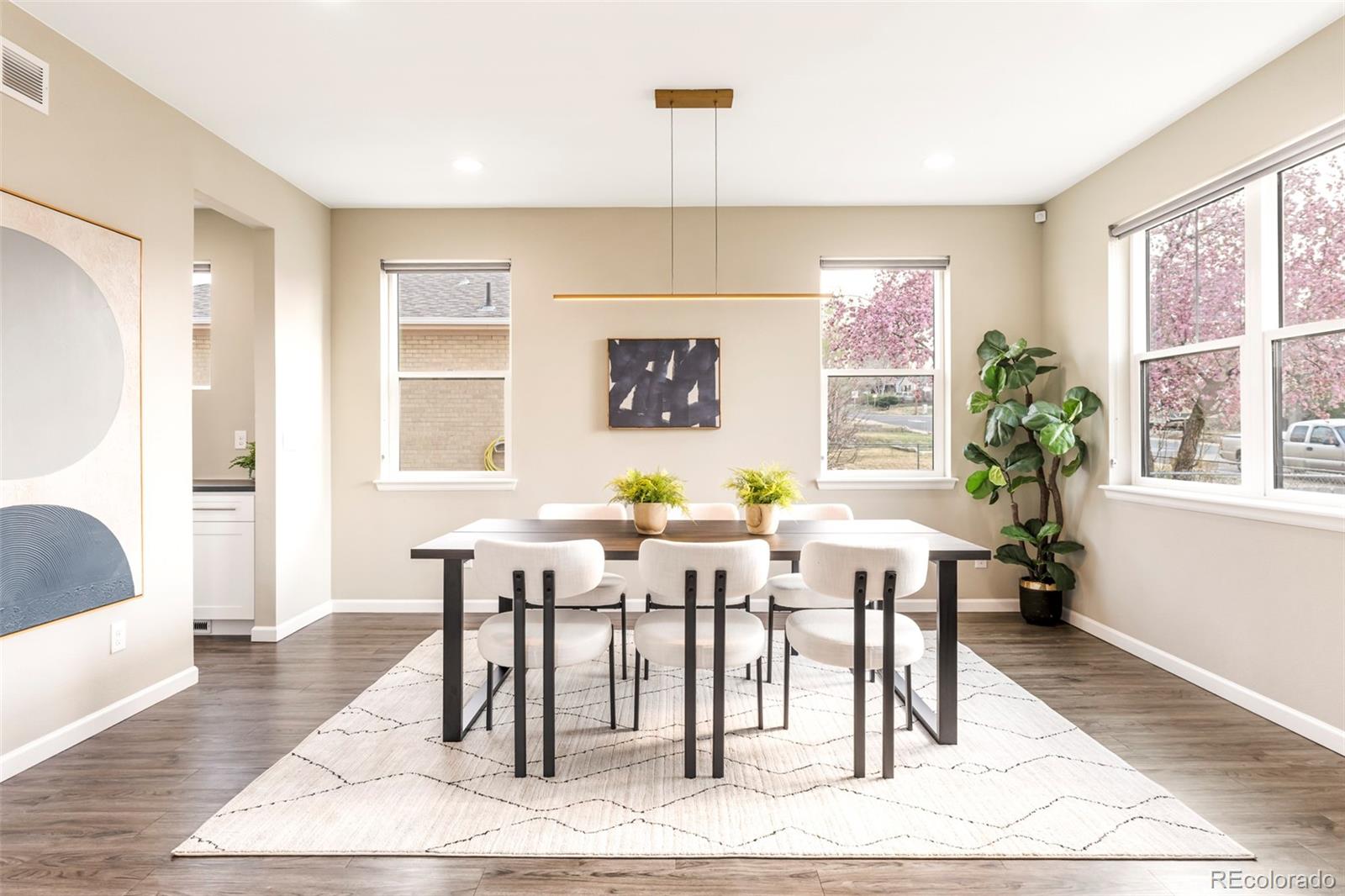 Real Estate Photo