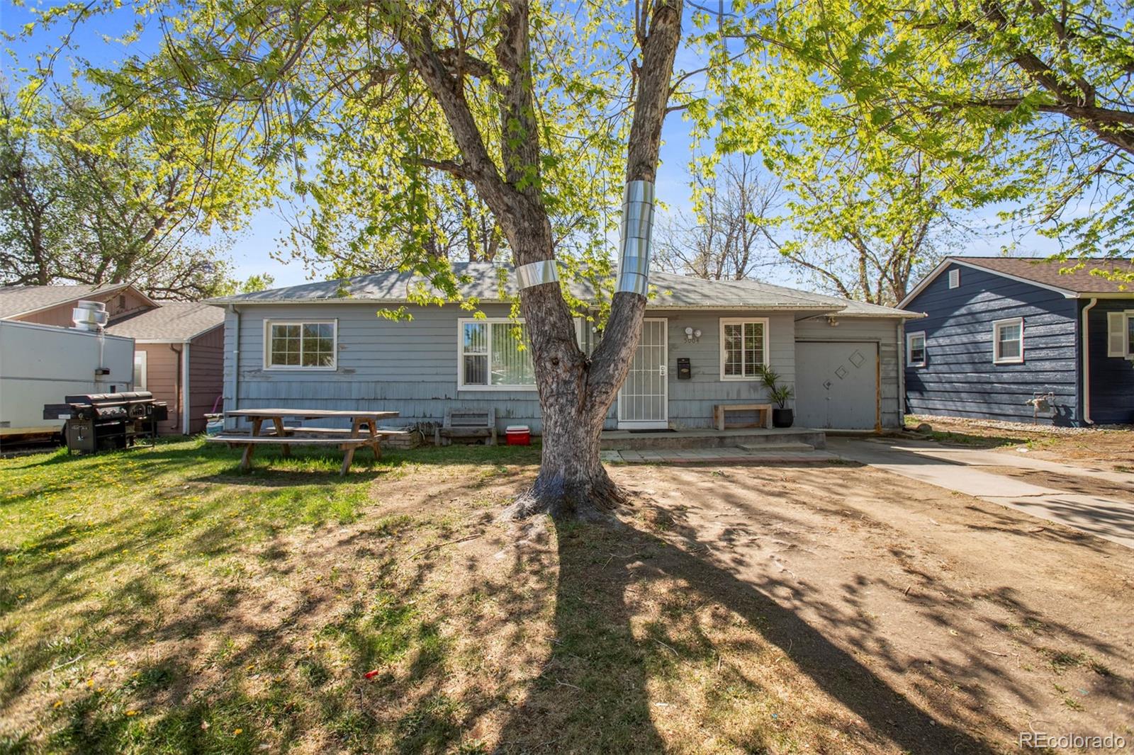 Real Estate Photo