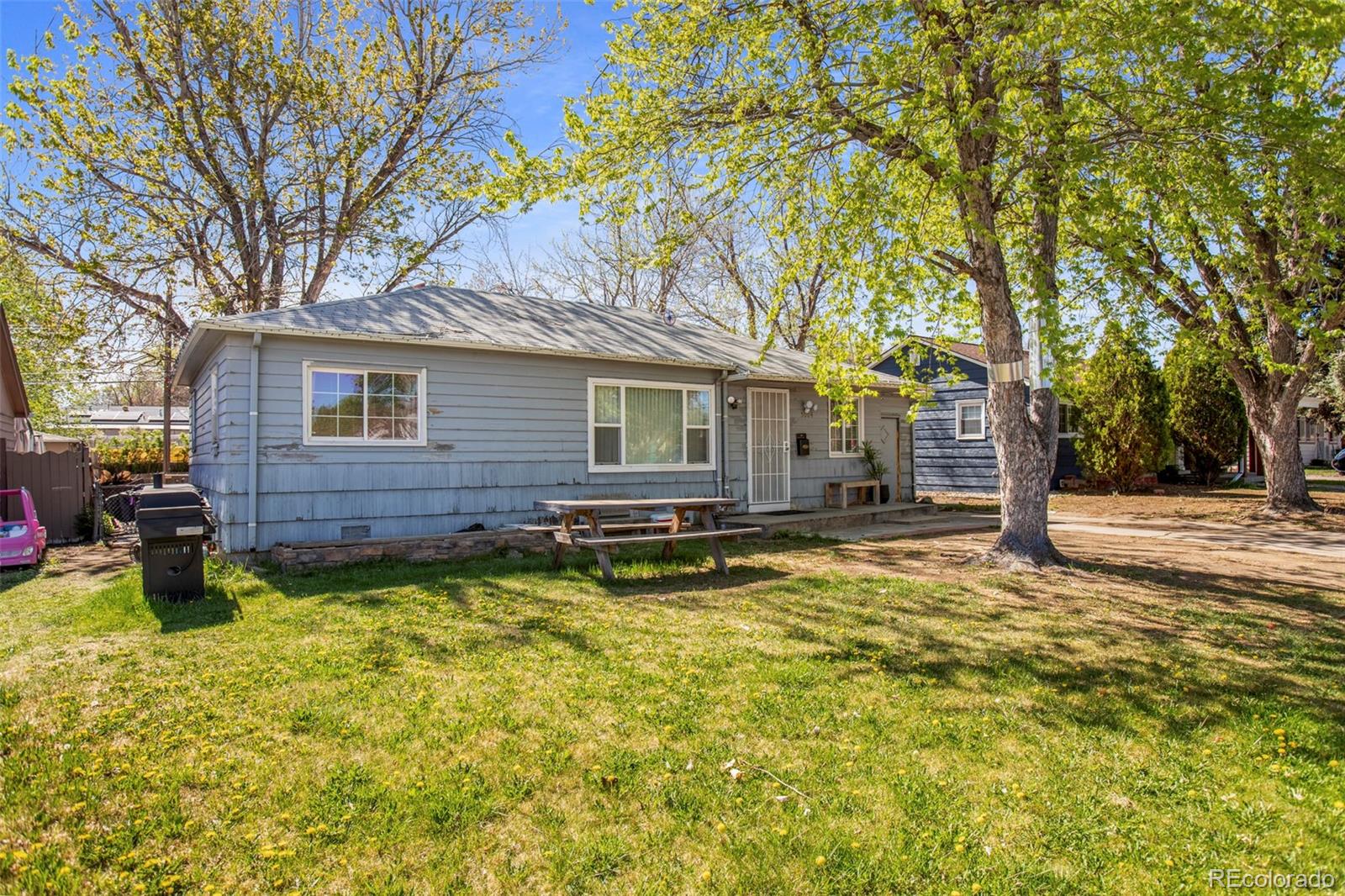 Real Estate Photo