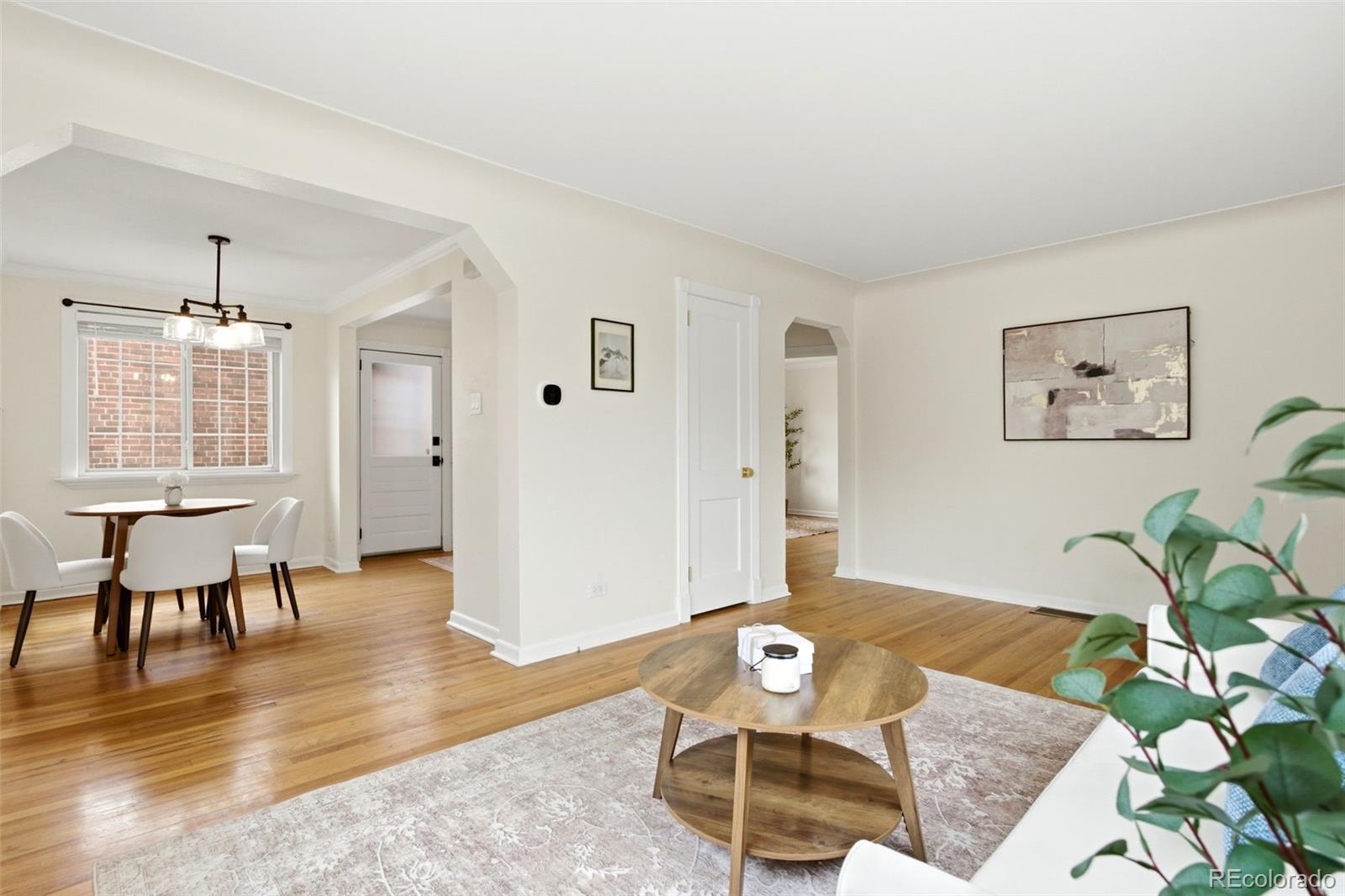 Real Estate Photo