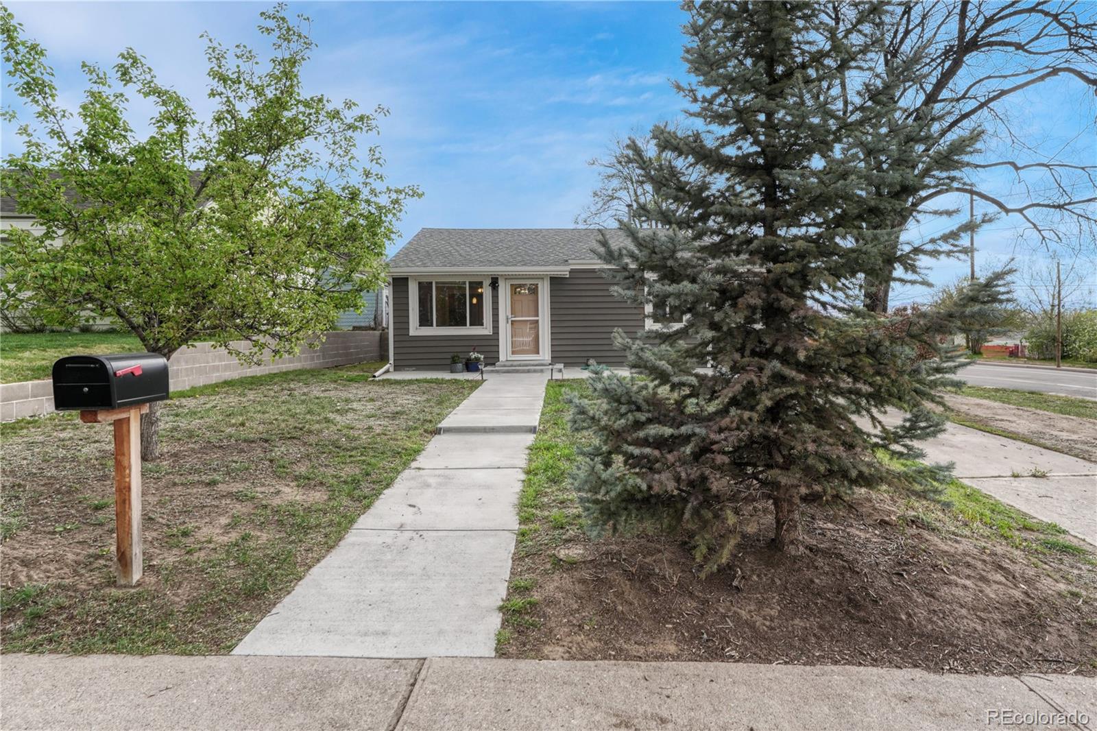 Real Estate Photo