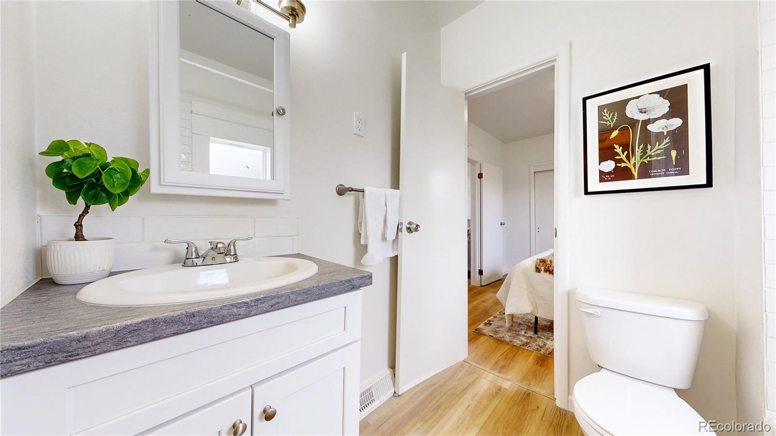 Real Estate Photo