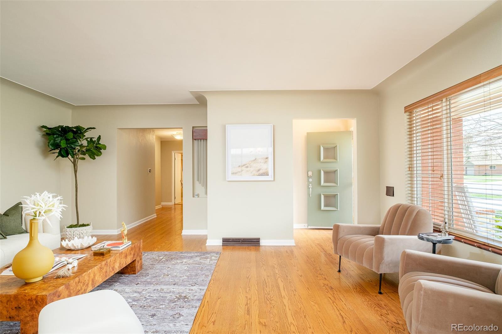 Real Estate Photo