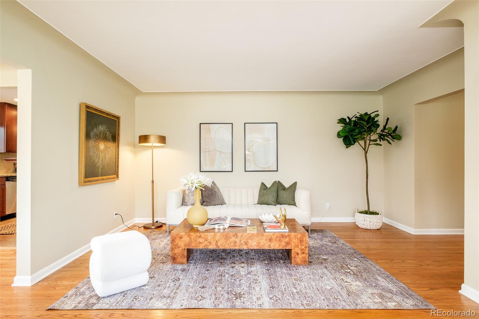 Real Estate Photo