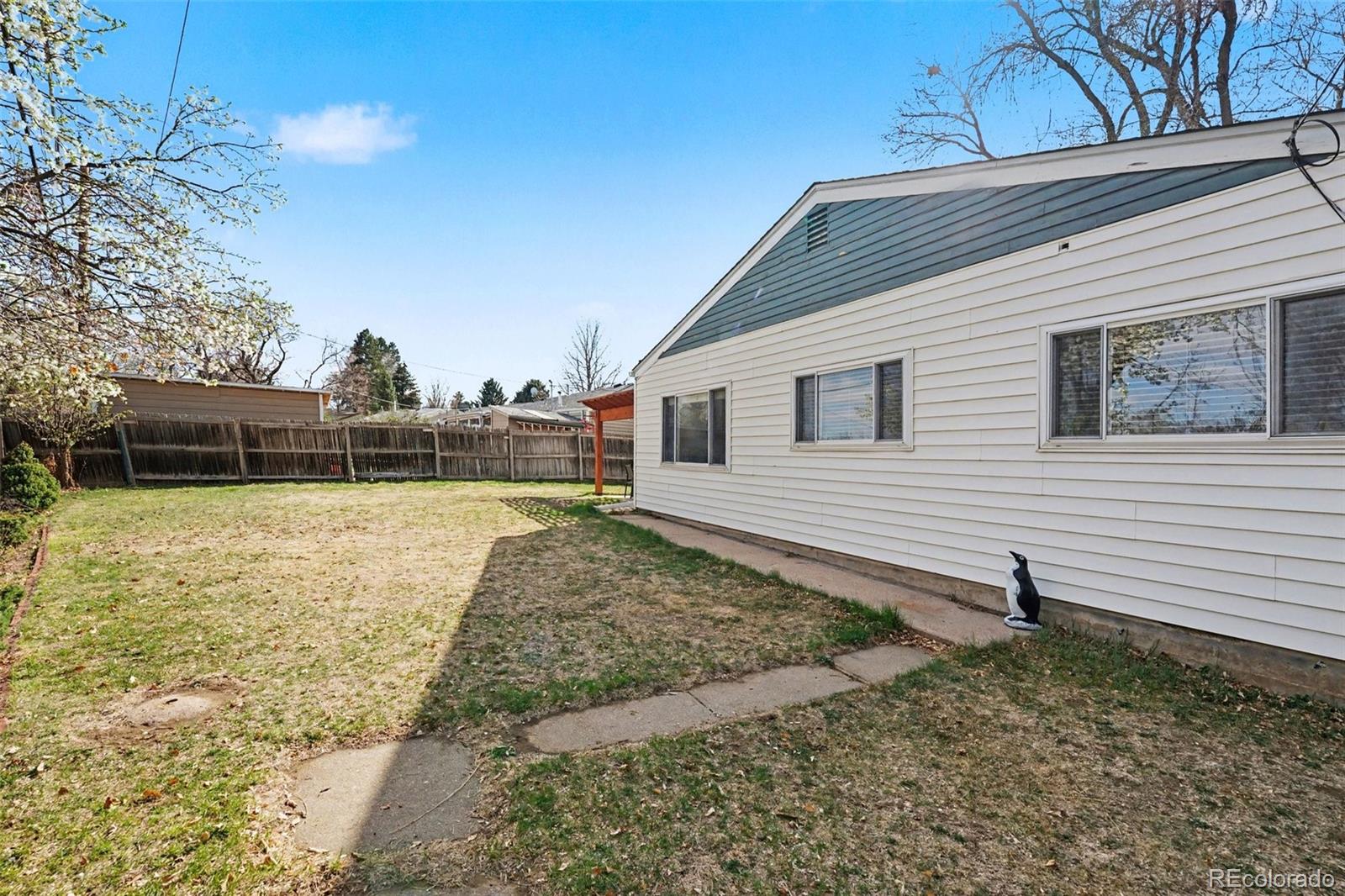 Real Estate Photo