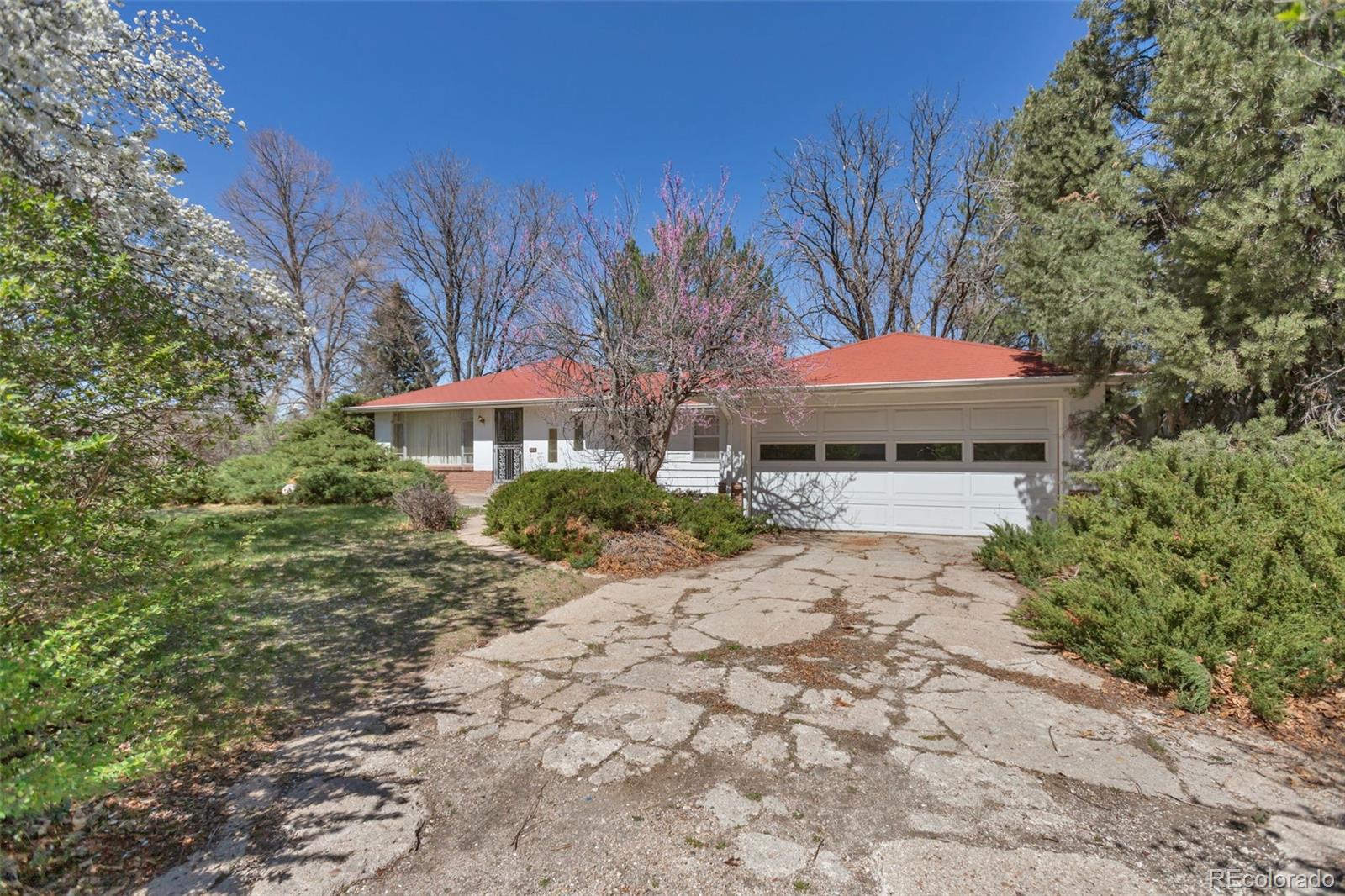 Real Estate Photo