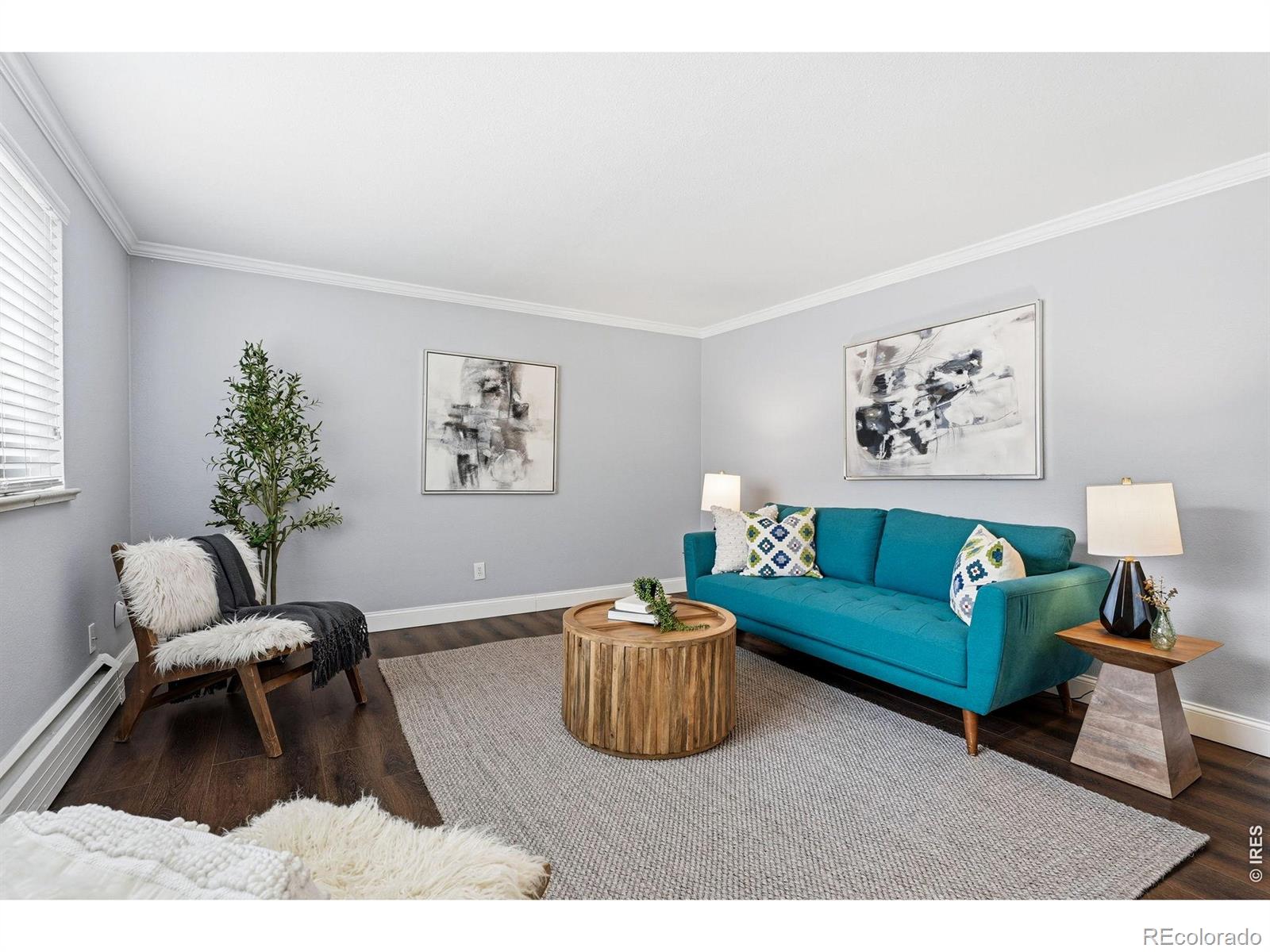 Real Estate Photo