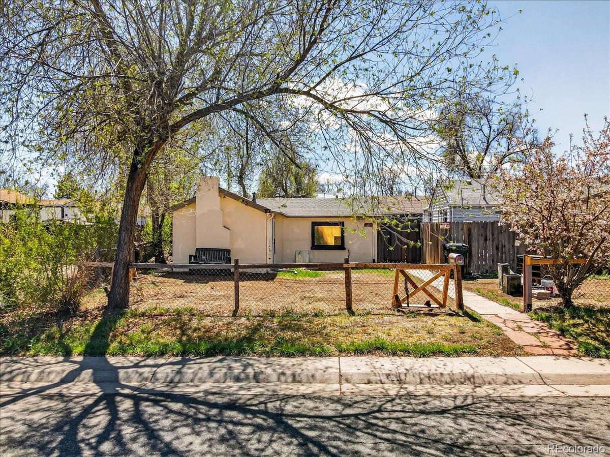 Real Estate Photo